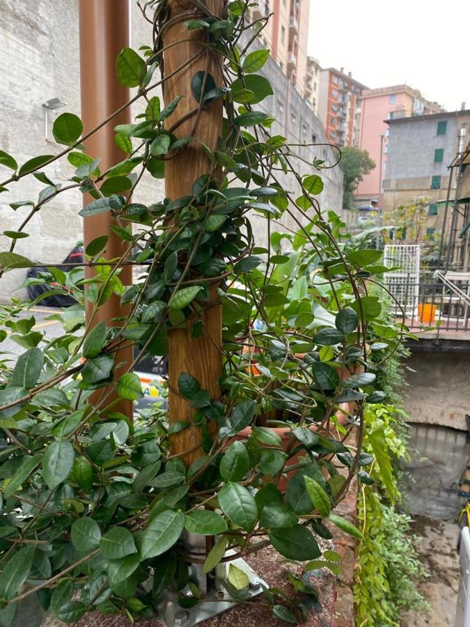 Zena Apartament Apartman Genova Kültér fotó